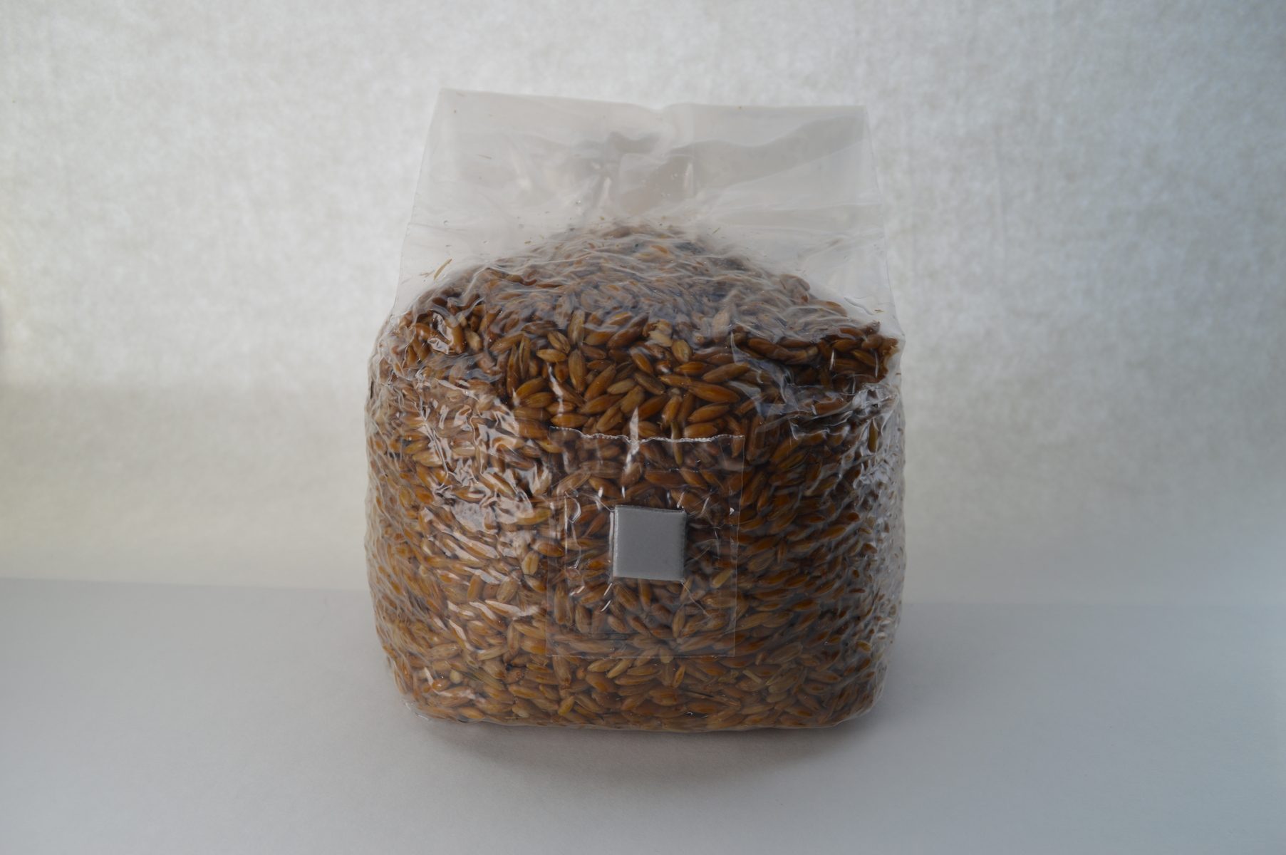 Breathable Polypropylene Lion Mane Mushroom Grow Bag Autoclave Spawn Bags  for Cultivation - China Mushroom Mylar Bag, Mushroom Filter Bags |  Made-in-China.com