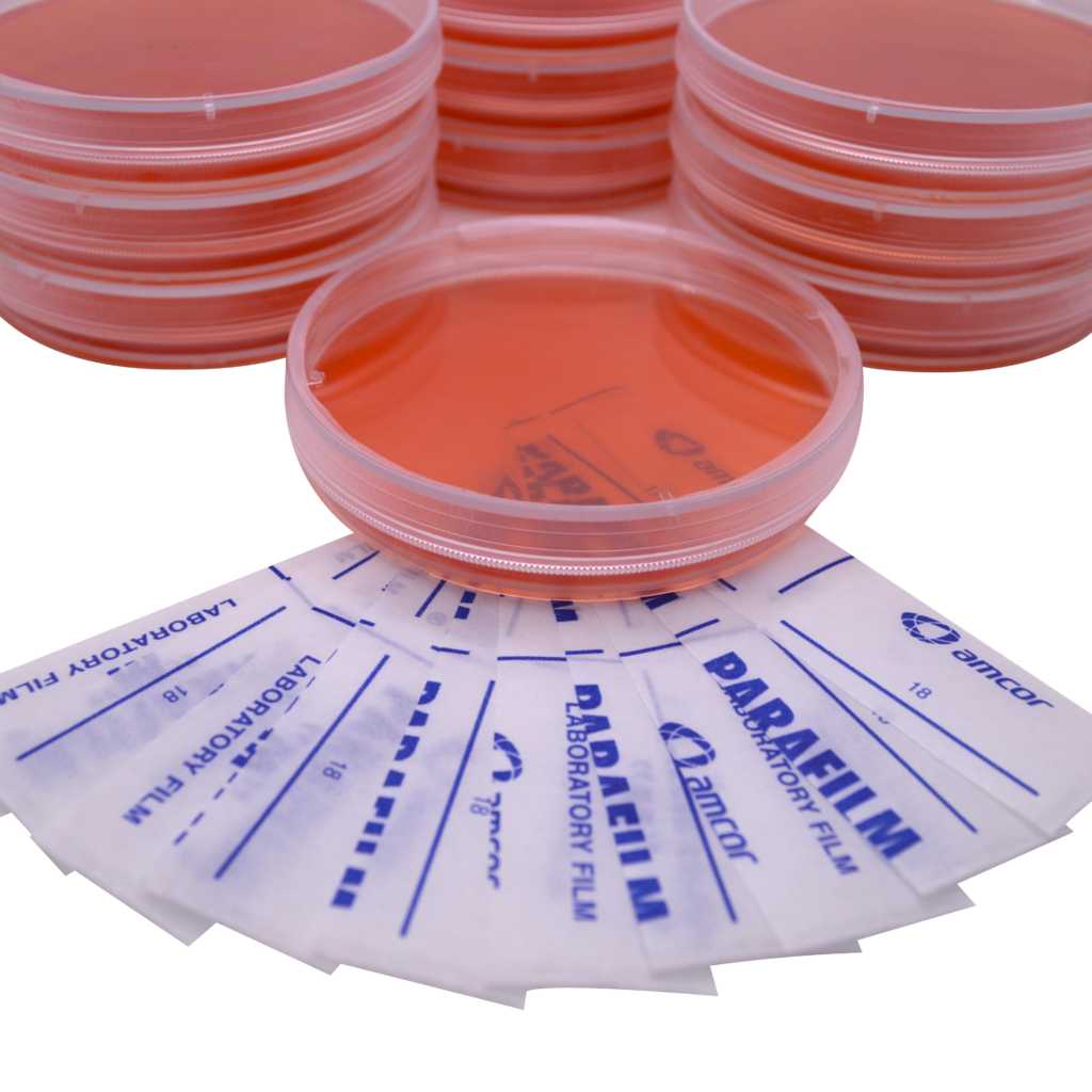 Malt Extract Agar (MEA) Plates - Sterile, Pre-Poured